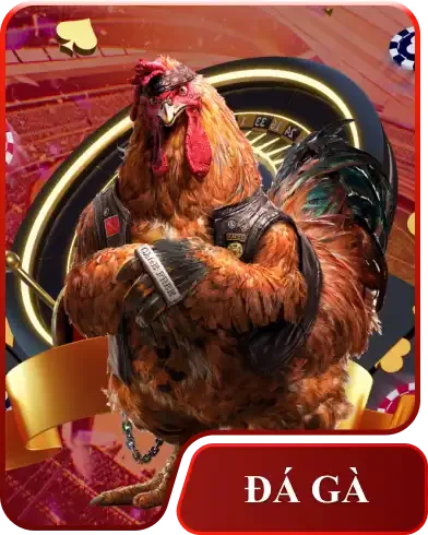 sản phẩm hello88