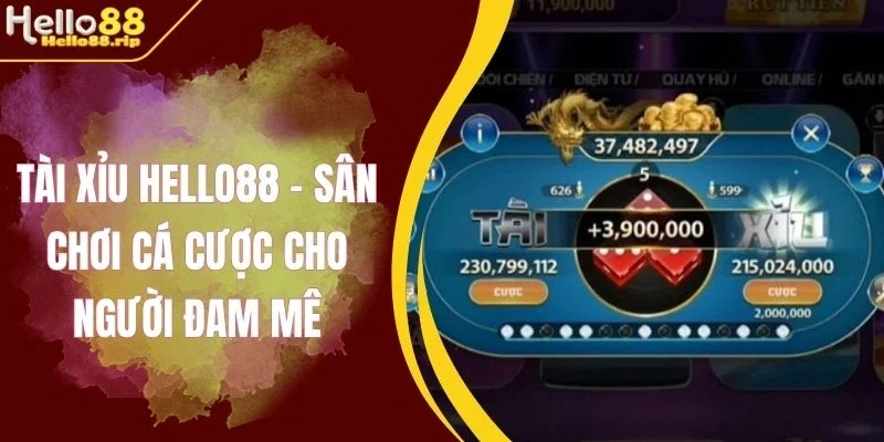 Phân tích chuỗi thắng thua để đoán chiều hướng cầu